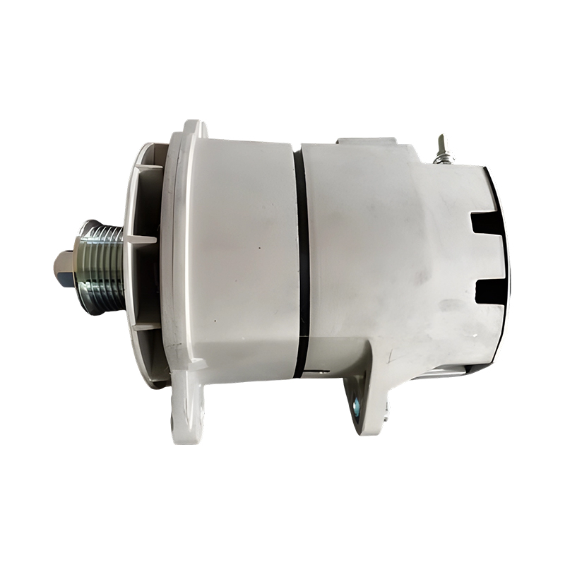 24V 100A 8094N/10459199 DELCO currus alternator pro 34SI QUAD-MONT STERCUS Eruca